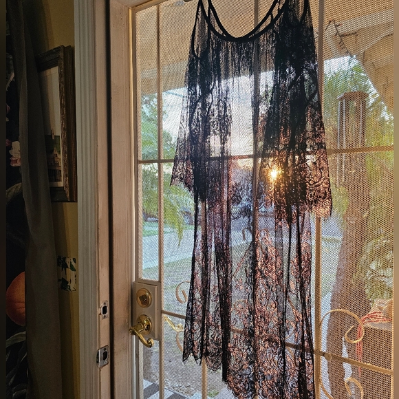 Lace Gown - Picture 3 of 5